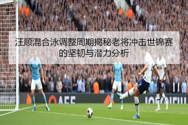 汪顺混合泳调整周期揭秘老将冲击世锦赛的坚韧与潜力分析