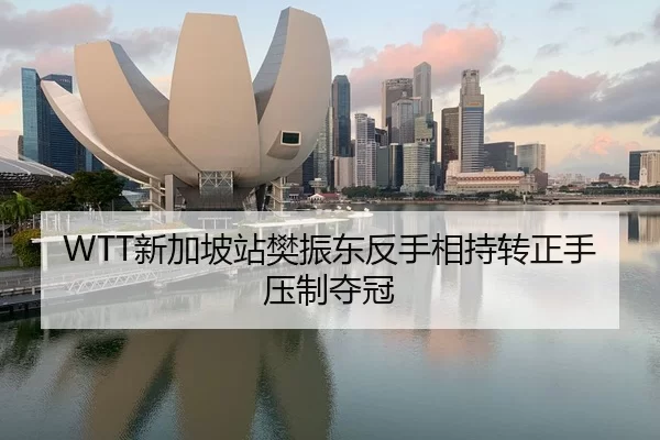 WTT新加坡站樊振东反手相持转正手压制夺冠