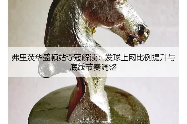弗里茨华盛顿站夺冠解读：发球上网比例提升与底线节奏调整